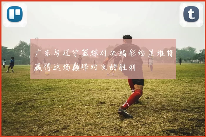 广东与辽宁篮球对决精彩纷呈谁将赢得这场巅峰对决的胜利