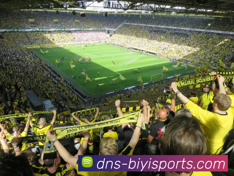 bsports必一APP 体育赛事宣传图
